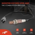 A-premium O2 Oxygen Sensor Compatible With Toyota Lexus Subaru Scion Avalon Highlander Camry Rav4 Tacoma Sienna Impreza