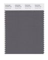 Pantone Smart 18-0000x Color Swatch Card Smoked Pearl 