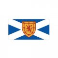 Scotland St Andrews Cross Flag Plate