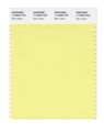 Pantone Smart 11-0620x Color Swatch Card Elfin Yellow 