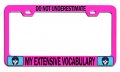 Do Not Underestimate My Extensive Vocabulary Geek Pn Steel Auto Suv License Plate Frame Tag Holder 