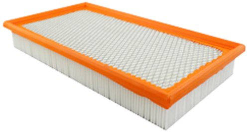 Hastings Af1079 Panel Air Filter Element