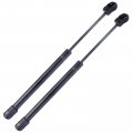 Aintier Automotive Replacement Shock Lift Supports Fit For Chrysler 300 2005 For 2006-2010 Dodge Challenger 2008-2012 Charger