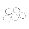 Engine Piston Ring Kit For Buick Envision 2016 2017 2018 2019 2020 Part Number Olx-acd89018107-cl360a58 Standard Style Black 