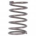 35 Lb In Clutch Spring For Ford Mustang 2015-2019
