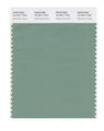 Pantone Smart 16-5917x Color Swatch Card Malachite Green 