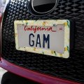 Minions Surf Pattern License Plate Tag Frame