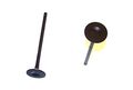 Dnj Engine Components Ev916 Exhaust Valve 