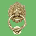 Door Knockers Lacquered Brass Lion Knocker 6 1 4 H X 3 5 8 W 