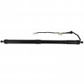 Aintier Automotive Replacement Shock Lift Supports Fit For Toyota Highlander 2014 For 2015-2019