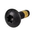 Ski-doo Cargo Box Scotch Grip Torx Screw M6 X 20 250000446 