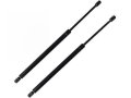 Rear Hatch Strut Shock Set Of 2 For 2002-2009 Chevy Trailblazer 
