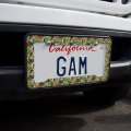 Tropical Birds Parrot Macaw Toucan Pattern License Plate Tag Frame