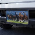 Graphics More Horses Ahead Of The Storm Front Novelty Metal Vanity Tag License Plate 