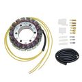 Esg080 3 Phase Stator With Connectors And Seals High Grade Performance Replacement Part 
