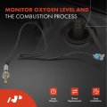 A-premium O2 Oxygen Sensor Compatible With Chevrolet Oldsmobile Pontiac Models Corvette 2004 Classic 2004-2005 Alero 2002-2004