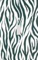 Zebra Veritcal Flame Skin Stripe Print Decorative Switchplate Cover 