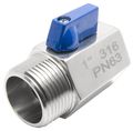 1 Stainless Steel 316 Mini Ball Valve Fxm Npt 