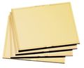 Radnor 4 1 2 X 5 Shade 10 Gold-coated Polycarbonate Filter Plate 