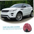 Favomoto 4 Pcs Valve Caps Tire Cover Strawberry Caps Polymer Clay Gas Camoto 4 Pcs Valve Cap Valves Tire Valve Cover Strawberry