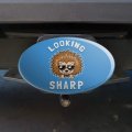Graphics More Looking Sharp Porcupine Funny Humor Oval Tow Trailer Hitch Cover Plug Insert