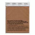 Pantone Smart Swatch 16-1438 Meerkat 