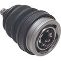 Epi Cv Joint 