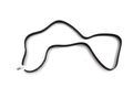 Toyota Genuine Parts 90916-02571 Alternator And Fan Belt 