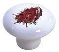 Set Of 2 Clam Seashell Ceramic Cabinet Drawer Knobs 