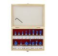 Abn Tungsten Carbide Router Bit 15-piece Set 1 2 Inch Shank A Woodworking Routing Drill Bits Kit With Carrying Case
