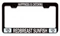 Happiness Is Catching Redbreast Sunfish Fishing Black Metal License Plate Frame Tag Holder J22 