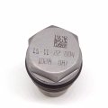 Common Rail Pressure Relief Valve Limiter Sensor 1110010028 2pcs Lot
