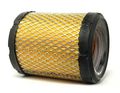 Champ Labs Af7981 Air Filter 