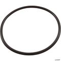 Pentair 52000500 Clamp O-ring Replacement Meteor 30-inch Top Mount Pool And Spa Sand Filter 