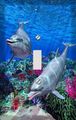 Dolphin Reef Decorative Switchplate Cover 