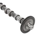 Exhaust Camshaft Timing Gear For Audi A3 2008 2013 Tt 2014 Vw Gti Jetta Passat Tiguan Replaces 06h109022ba 06h109022bb