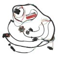Pro Bat Gy6 Full Electrics Wiring Harness W O Waterproof Cap Cdi 