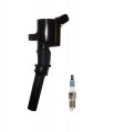 Ad Auto Parts Ignition Coil Pack 1 Herko Automotive B029 Platinum Spark Plug For 2000-03 Ford E-150 F-150 Excursion 