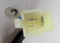 Stator 49-150cc 4 Stroke 8 Coil 2 Pin In 3 Jack For E-ton Sport 50 Others
