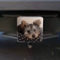 Yorkie Yorshire Terrier Puppy Dog On A Spotted Cushion Tow Trailer Hitch Cover Plug Insert
