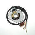 Electrosport Esl235 Lighting Stator Ktm 2-stroke 