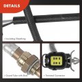 A-premium O2 Oxygen Sensor Compatible With Ford Probe 1997 Mazda 626-2000 Millenia 1995-2002 Mx-6 1997 Replace 0k55818861