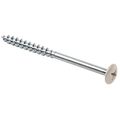 White Painted Head Screw 25 Per Pack