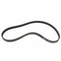 Motorcraft V-belt P Jk4361a 