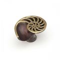 Schaub Nature Collection 1-1 2 In 38mm X 4 32mm Knob Polished Brass 980r-pb Bz 