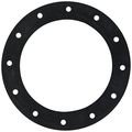 Jaz Products 850-301-01 12-hole Flange Gasket 