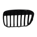 Passenger Side Grille For Bmw X1 2016 2017 2018 2019 Chrome Shell And Insert Plastic Replacement Bm1200291 51117383366