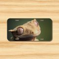 Crested Gecko License Plate Front Vehicle Auto Tag Lizard Reptile Herp Mod-gt911-692 