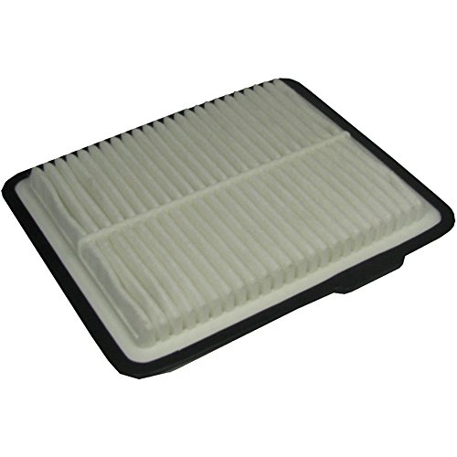 Ecogard Xa5431 Premium Engine Air Filter Fits Chevrolet Malibu Equinox Saturn Vue Buick Lucerne Cadillac Dts Pontiac G6 Aura