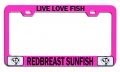 Live Love Fish Redbreast Sunfish Fishing Pink Metal License Plate Frame Tag Holder W60 